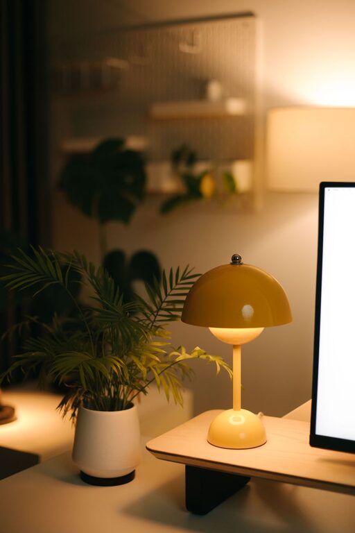 Tips for Creating a Cozy Home Office Space on a Budget